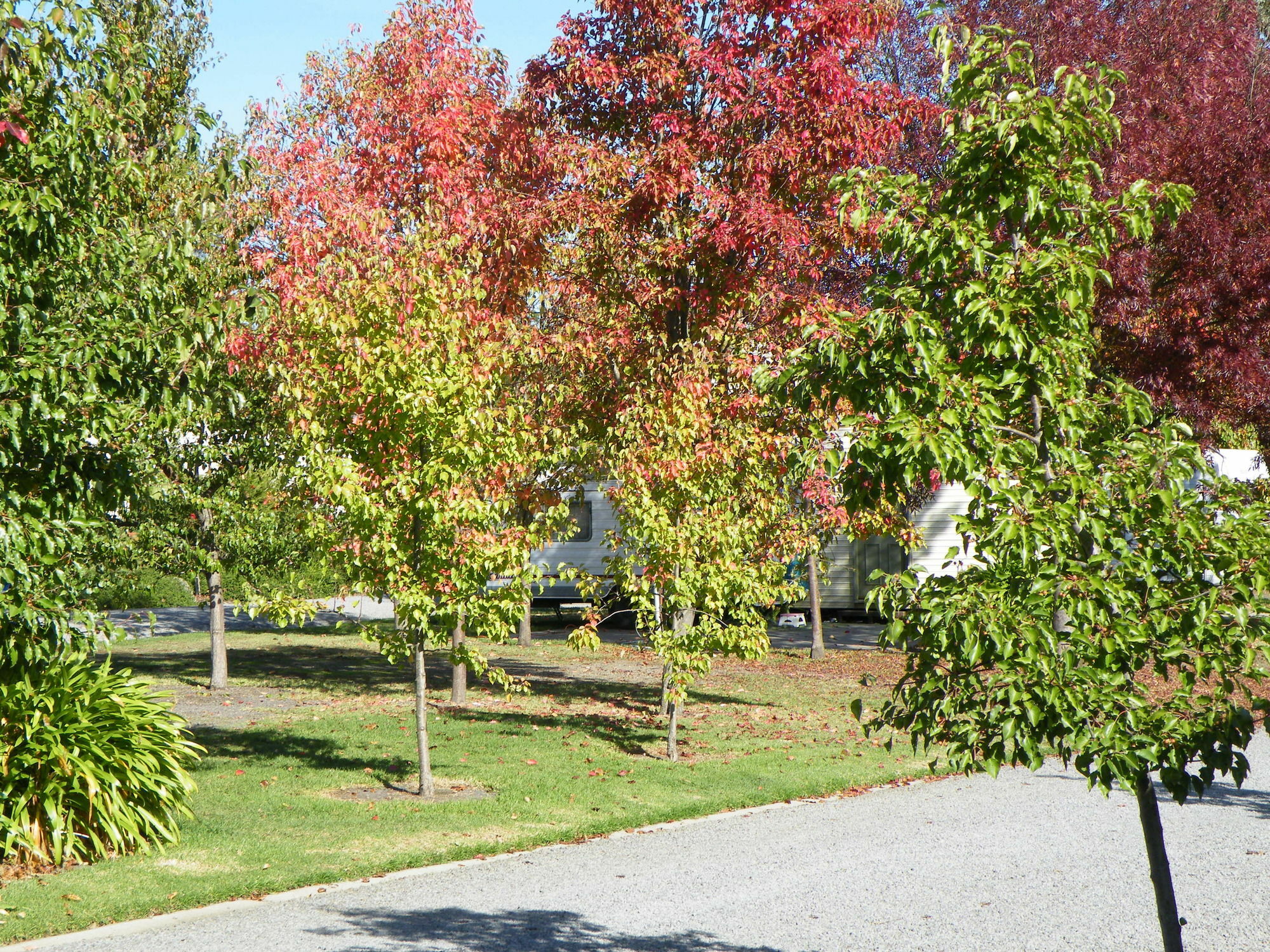 Lake Hamilton Motor Village And Caravan Park Экстерьер фото